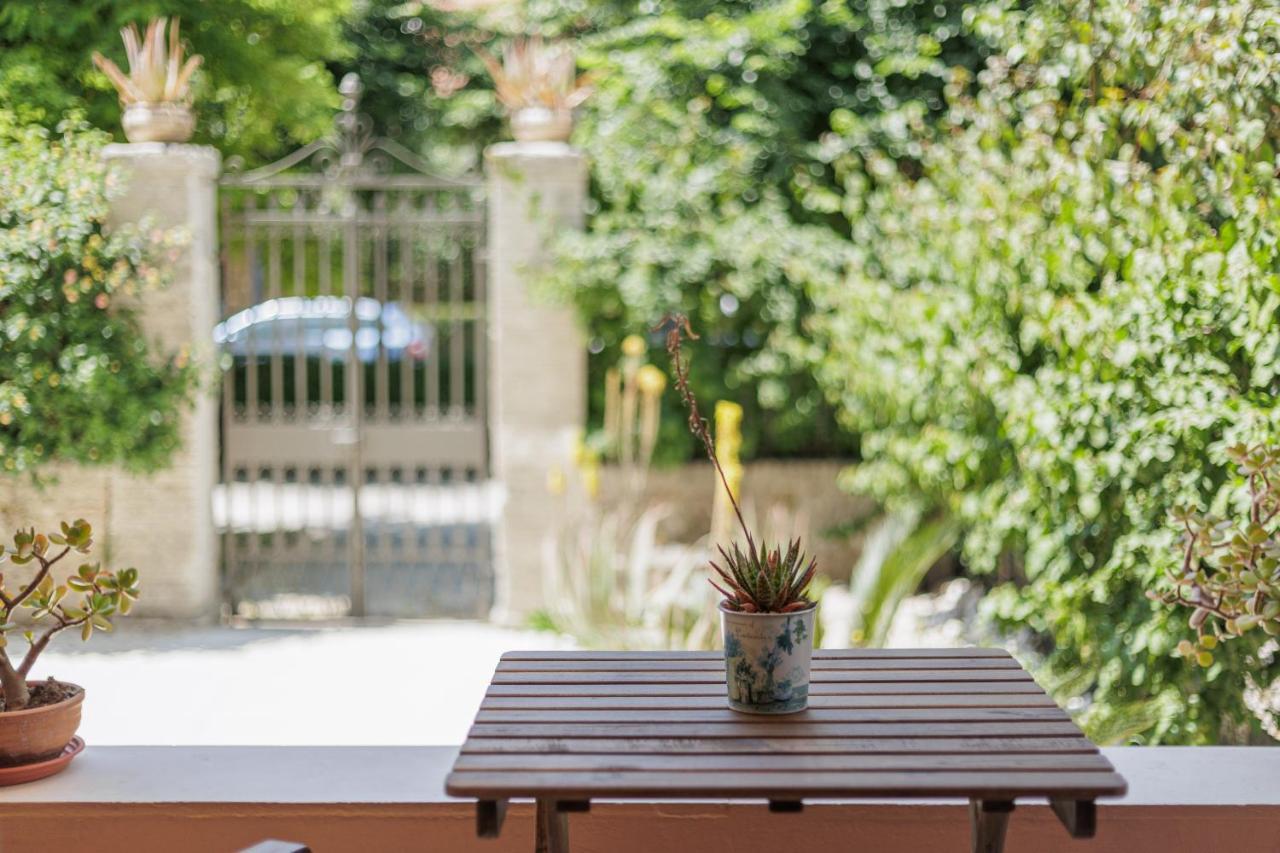 Aloe * Corfu (city)