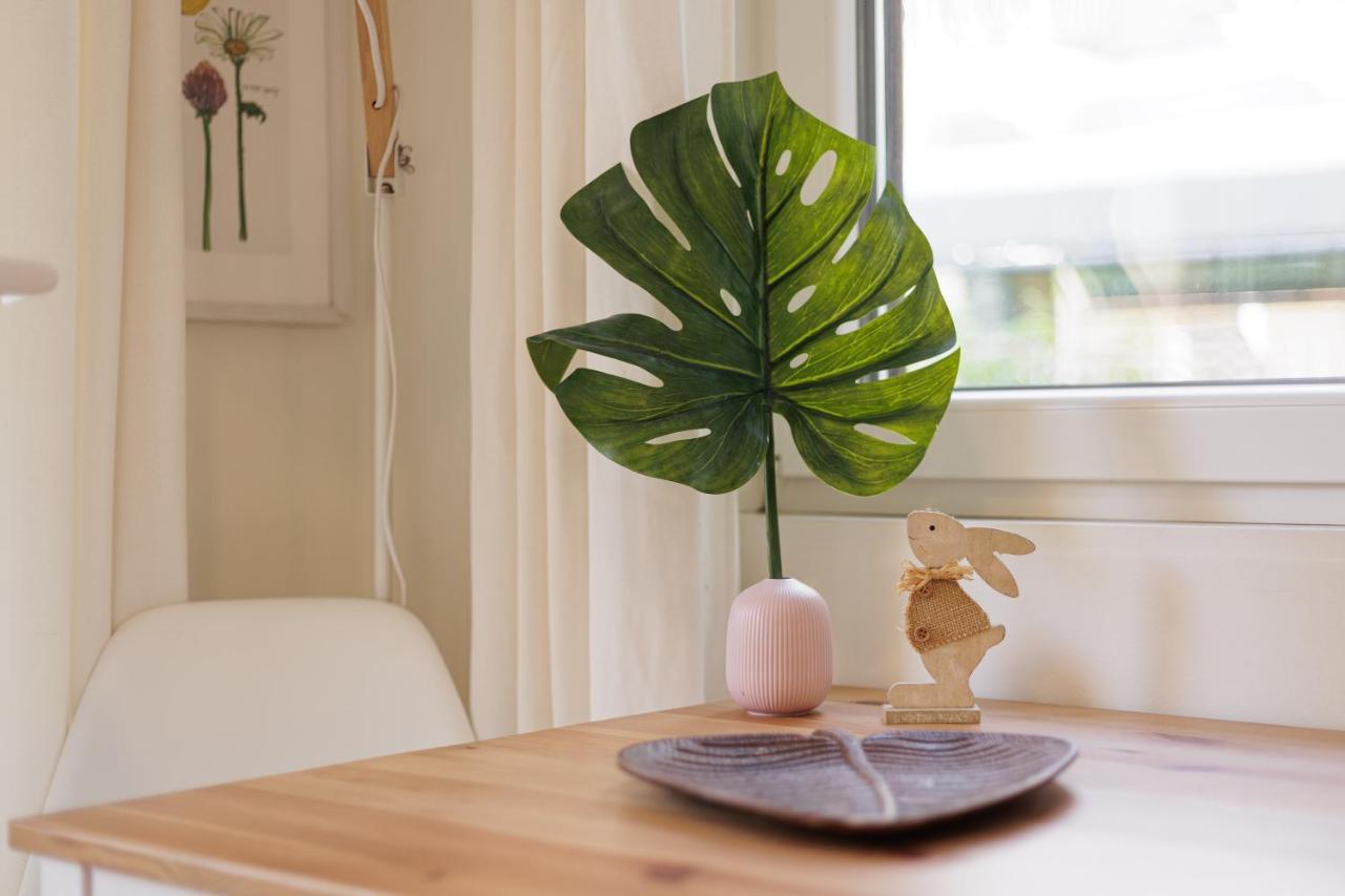 Apartment Aloe Corfu (city)