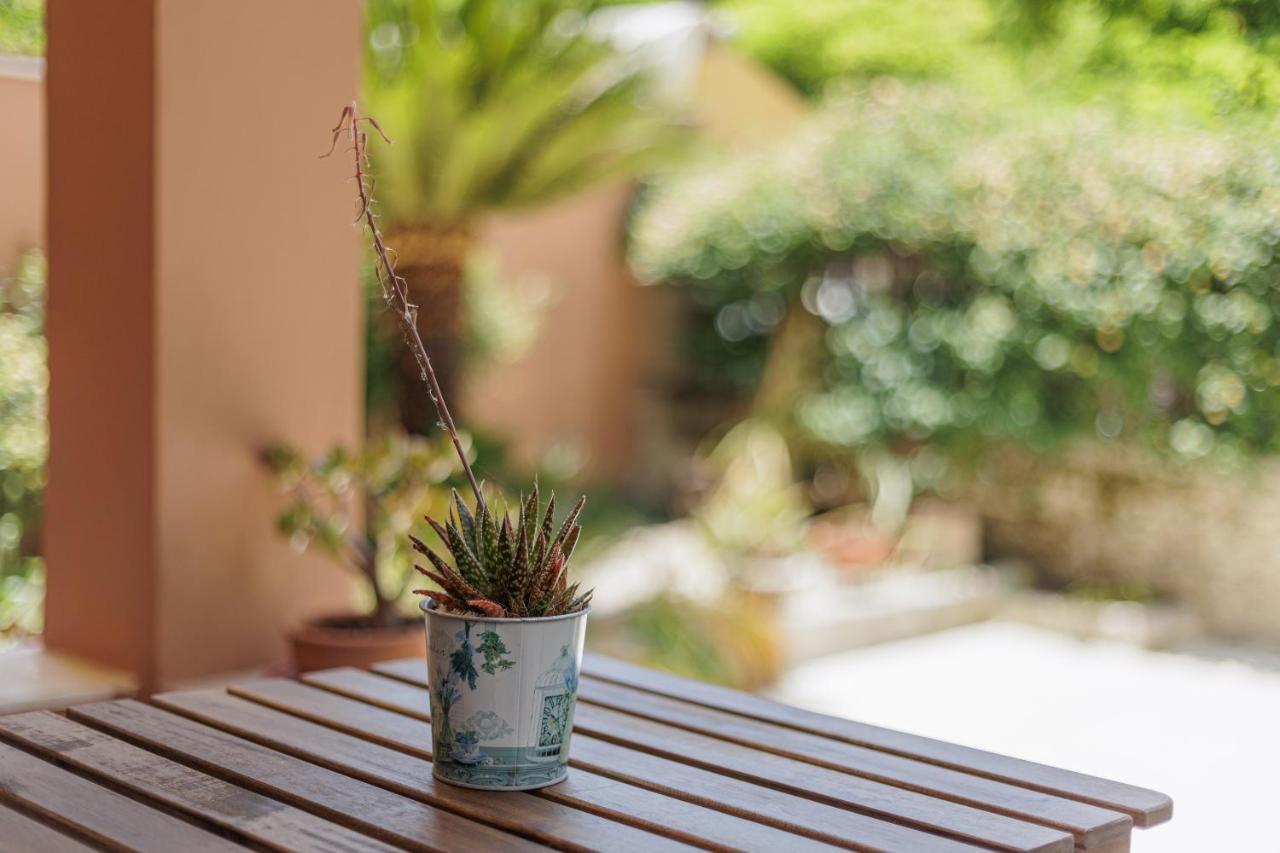 Apartment Aloe *